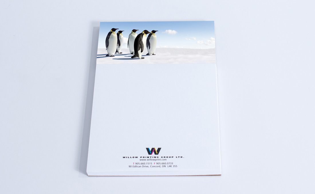 WillowPads penguins